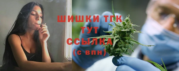 мет Арсеньев