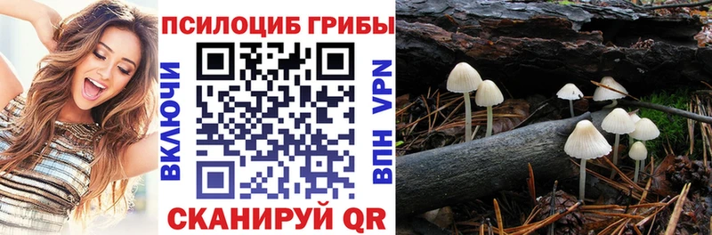 нарко площадка клад  Калач  Галлюциногенные грибы Psilocybine cubensis 